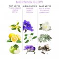 EOL Morning Glow Massagekerze 150ml