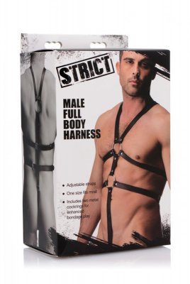 Body Harness