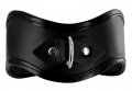 Locking Posture Collar