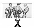 Tom of Finland Großer Buttplug aus Silikon