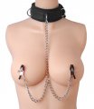 Submission Collar And Nipple Clamp Union