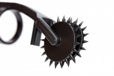 Thorn Finger Wartenberg Rad