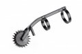 Thorn Finger Wartenberg Rad