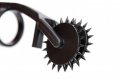 Thorn Finger Wartenberg Rad